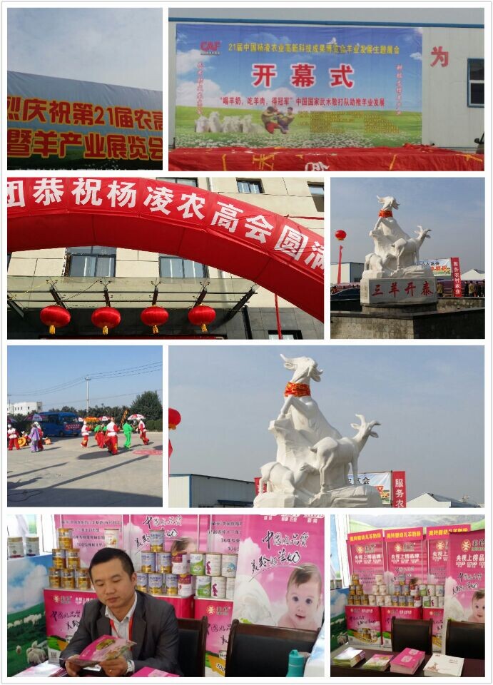 宝马bm1122线路顶级(中国游)有限公司官网
